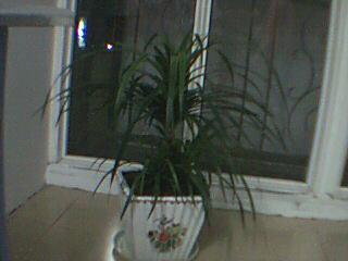 桂林新闻爆料找谁 第2张 桂林新闻爆料找谁 第2张